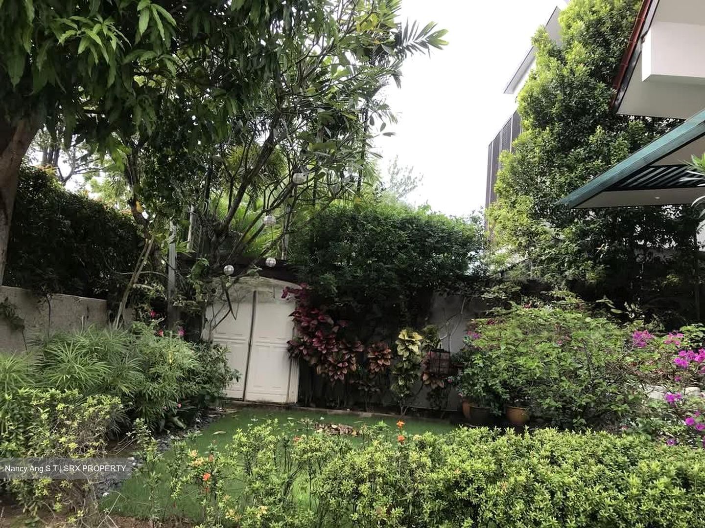 Serangoon Garden Estate (D19), Semi-Detached #552994841